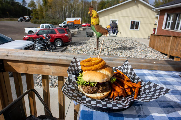 Iron Rooster sandwich and fries